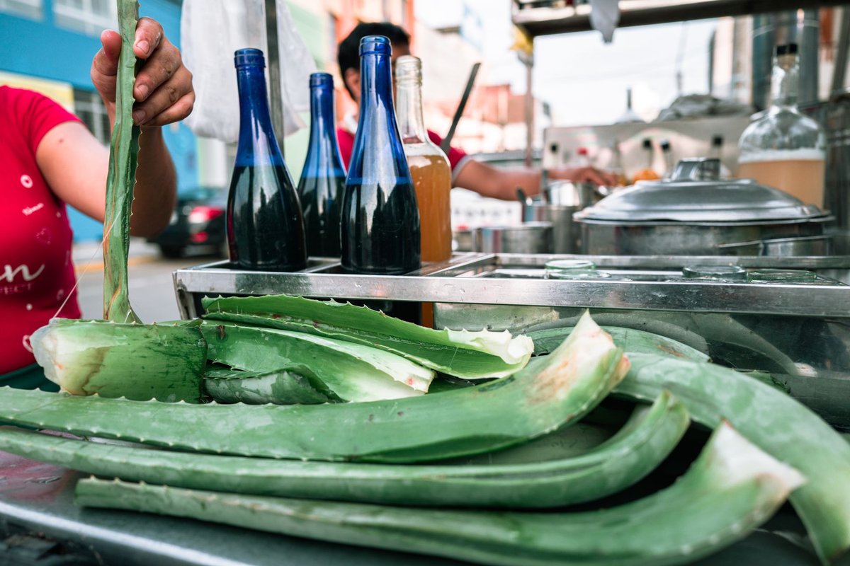 quel aloe vera boire