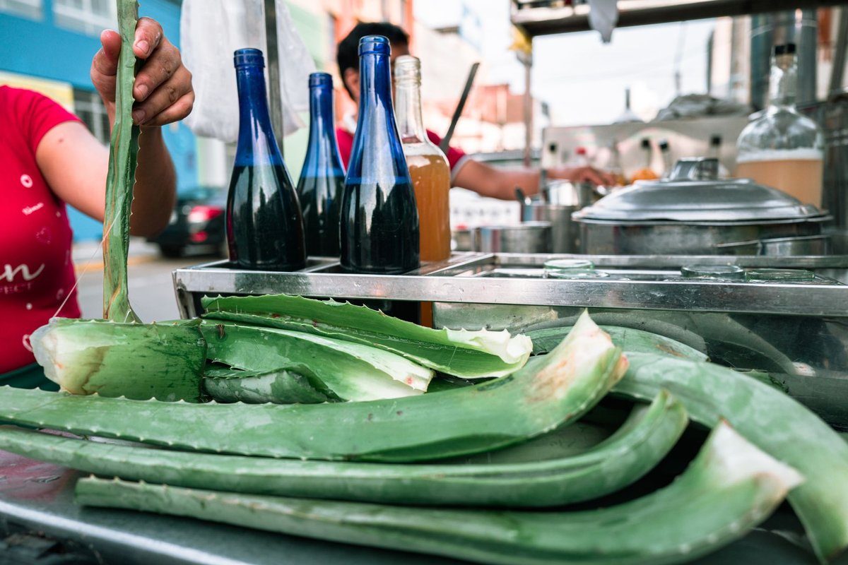 quel aloe vera boire